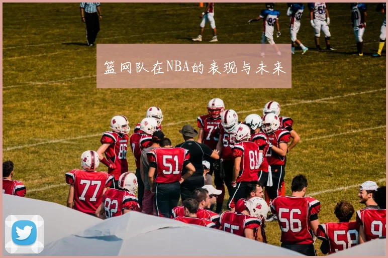 篮网队在NBA的表现与未来