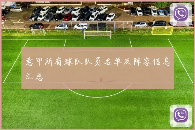 意甲所有球队队员名单及阵容信息汇总