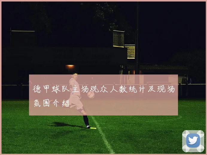 德甲球队主场观众人数统计及现场氛围介绍