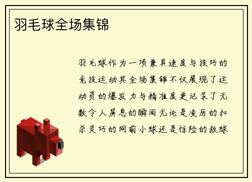 羽毛球全场集锦