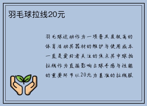 羽毛球拉线20元