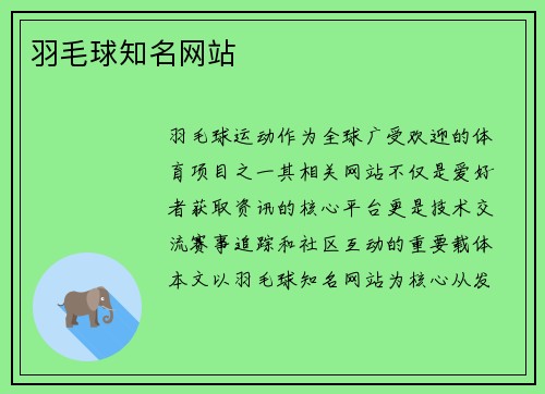 羽毛球知名网站